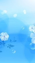 Цветы, Фон для Sony Xperia M5