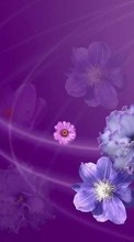 Цветы,Фон для Sony Xperia Miro ST23i