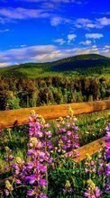 Цветы, Горы, Облака, Пейзаж для Motorola Flipside