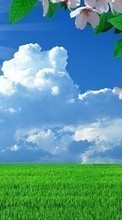 Цветы, Небо, Облака, Пейзаж, Поля, Трава для Samsung Galaxy Spica