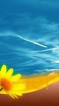 Цветы, Небо, Рисунки для LG Optimus Elite LS696