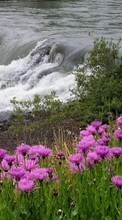 Цветы, Пейзаж, Река для HTC EVO 3D