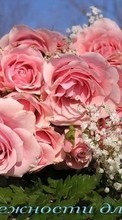 Новые обои 240x400 на телефон скачать бесплатно: Праздники, Растения, Розы, Цветы.