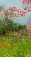 Цветы,Рисунки для Huawei Ascend Y320