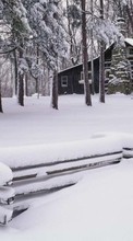 Деревья, Дома, Пейзаж, Зима для Nokia 5233