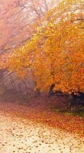 Новые обои на телефон скачать бесплатно: Деревья, Дороги, Листья, Осень, Пейзаж.
