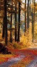 Деревья, Дороги, Листья, Осень, Пейзаж для Samsung D600