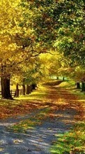 Деревья, Дороги, Осень, Пейзаж для Samsung Galaxy Tab 4