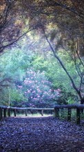 Деревья,Дороги,Пейзаж для Asus ZenPad 7.0 Z370C