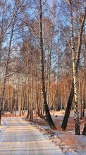 Деревья, Дороги, Пейзаж, Снег для Samsung Galaxy S Plus
