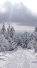 Новые обои 1080x1920 на телефон скачать бесплатно: Деревья, Дороги, Пейзаж, Снег, Зима.