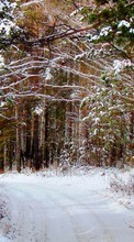 Деревья, Дороги, Пейзаж, Снег, Зима для Samsung Galaxy S Plus