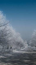 Деревья,Дороги,Пейзаж,Зима для HTC Incredible S