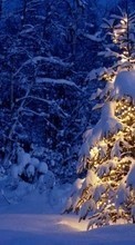 Деревья, Елки, Новый Год (New Year), Пейзаж, Праздники, Рождество (Christmas, Xmas), Снег, Зима
