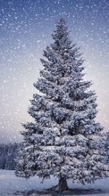 Новые обои на телефон скачать бесплатно: Деревья, Елки, Пейзаж, Снег, Зима.