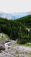 Деревья, Горы, Пейзаж для HTC Desire Z