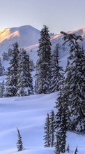 Деревья,Горы,Пейзаж,Снег для HTC Touch Viva