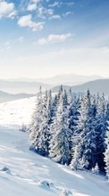 Деревья, Горы, Пейзаж, Снег, Зима для Asus ZenFone Go ‏ZB452KG