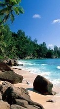 Деревья, Лето, Море, Пальмы, Пейзаж, Пляж для OnePlus One