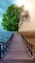 Деревья, Море, Пейзаж, Пустыня для BlackBerry Bold 9000