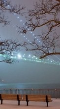 Деревья, Мосты, Ночь, Пейзаж, Зима для Fly Jazz IQ238