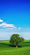 Новые обои на телефон скачать бесплатно: Деревья, Небо, Облака, Пейзаж, Поля.