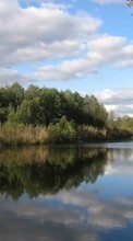 Деревья, Небо, Пейзаж, Река, Вода для HTC Desire S