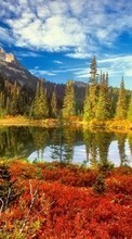 Вода, Деревья, Небо, Осень, Пейзаж, Река для Samsung Galaxy Note 2