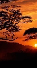 Деревья, Небо, Пейзаж, Солнце, Закат для HTC Desire S