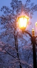 Новые обои на телефон скачать бесплатно: Деревья, Ночь, Пейзаж, Снег, Зима.
