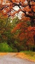 Новые обои на телефон скачать бесплатно: Деревья,Осень,Парки,Пейзаж,Природа.