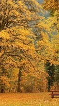 Новые обои на телефон скачать бесплатно: Деревья, Осень, Пейзаж.