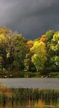 Деревья, Осень, Пейзаж, Река для Samsung Galaxy S Plus