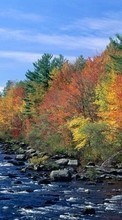 Деревья, Осень, Пейзаж, Река для Samsung D600