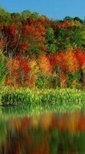 Деревья, Осень, Пейзаж, Река для BlackBerry Bold 9700