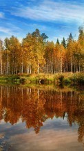 Новые обои на телефон скачать бесплатно: Деревья, Осень, Пейзаж, Река.