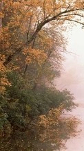 Новые обои на телефон скачать бесплатно: Деревья,Осень,Пейзаж,Река.