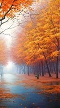 Новые обои на телефон скачать бесплатно: Деревья, Осень, Пейзаж, Улицы.