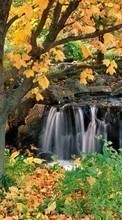 Деревья,Осень,Пейзаж,Водопады для Nokia Asha 210