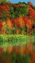 Новые обои 1080x1920 на телефон скачать бесплатно: Деревья, Осень, Растения, Вода.