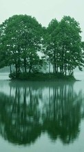 Деревья, Озера, Пейзаж для LG Optimus 3D P920