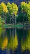 Деревья, Озера, Пейзаж для LG Optimus Elite LS696
