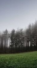 Деревья,Пейзаж для Sony Ericsson C510