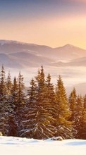 Новые обои на телефон скачать бесплатно: Деревья,Пейзаж,Природа,Снег,Зима.