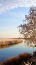 Деревья, Пейзаж, Река для OnePlus One