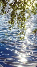 Деревья, Пейзаж, Река, Вода для Samsung Galaxy S Plus
