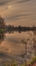 Деревья, Пейзаж, Река, Закат для Samsung Galaxy S Plus