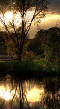 Деревья,Пейзаж,Река,Закат для HTC One M8s