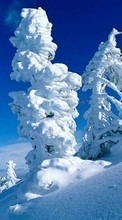 Новые обои на телефон скачать бесплатно: Деревья,Пейзаж,Снег.