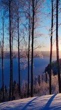 Новые обои на телефон скачать бесплатно: Деревья, Закат, Зима, Пейзаж, Снег.